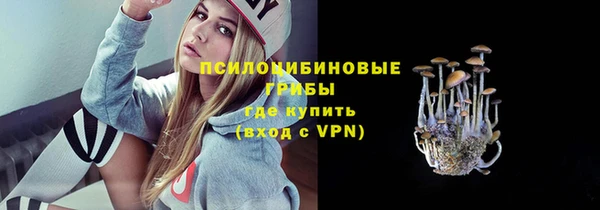 героин Алексин