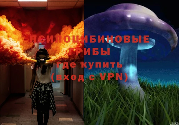 героин Алексин