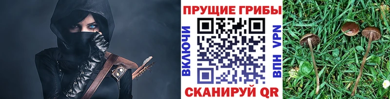 Псилоцибиновые грибы мухоморы  МЕГА сайт  Петров Вал 